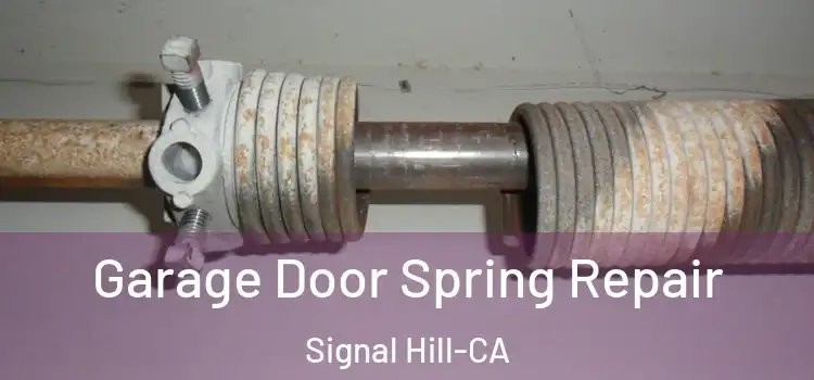  Garage Door Spring Repair Signal Hill-CA