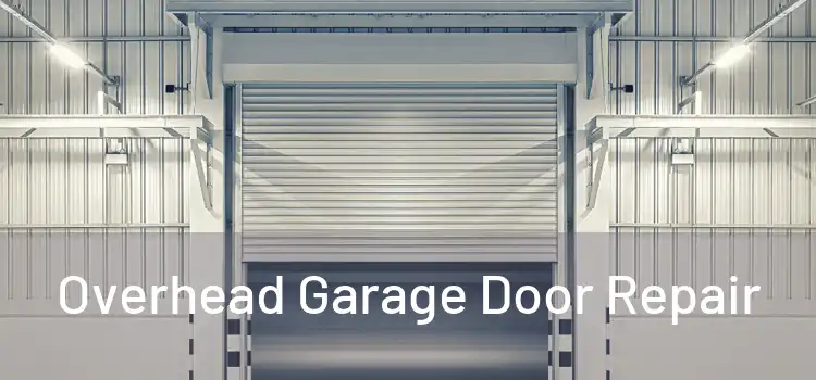  Overhead Garage Door Repair 